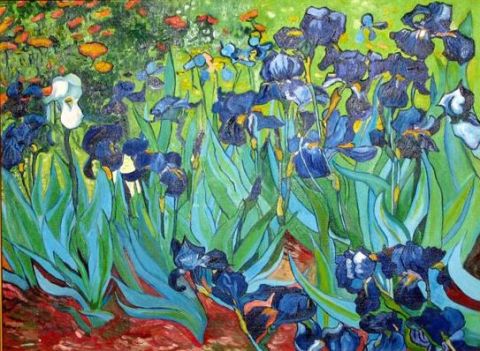 Les iris 